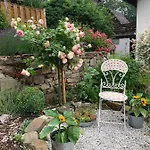Hotel Waldquelle - Baumhaushotel Aerzen Hotel