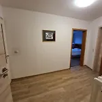 Hotel Waldquelle - Baumhaushotel 3*