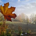 Waldquelle - Baumhaushotel Hotel 3*