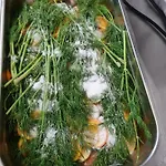 Hotel Waldquelle - Baumhaushotel Aerzen Hotel 3*