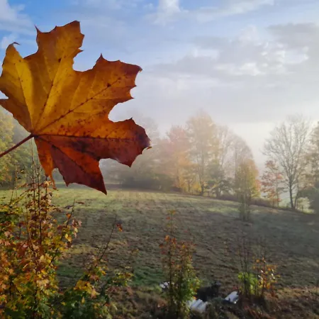 Waldquelle - Baumhaushotel Hotel 3*