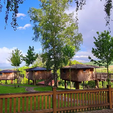 Waldquelle - Baumhaushotel 3*