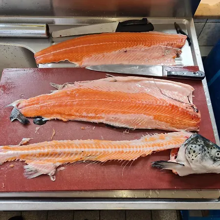 Hotel Waldquelle - Baumhaushotel 3*