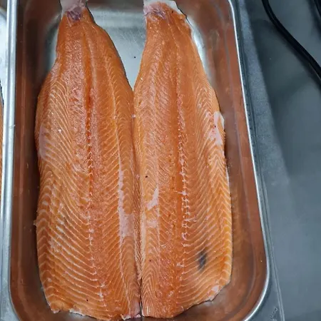 Waldquelle - Baumhaushotel