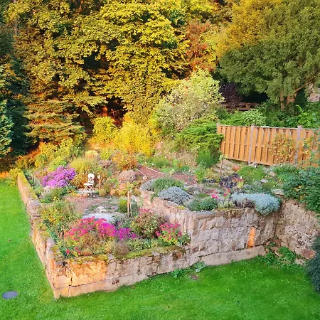 Hotel Waldquelle - Baumhaushotel 3*