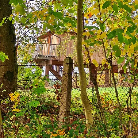 Waldquelle - Baumhaushotel 3* Aerzen