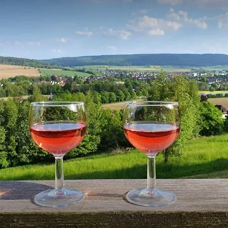 Waldquelle - Baumhaushotel 3* Aerzen